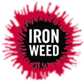 Ironweed