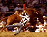 The Wildest Show in the South: The Angola  Prison Rodeo
